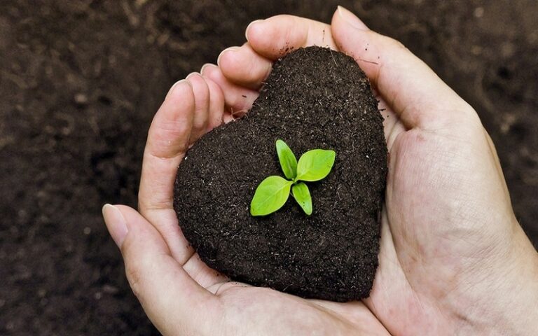 ವಿಶ್ವ ಮಣ್ಣು ದಿನ-2021: ’ಮಣ್ಣನ್ನು ಲವಣಯುಕ್ತಗೊಳಿಸುವುದನ್ನು ನಿಲ್ಲಿಸಿ, ಮಣ್ಣಿನ ಉತ್ಪಾದಕತೆಯನ್ನು ಹೆಚ್ಚಿಸಿ’