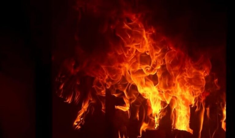 ಗುಜರಾತ್: ರಾಸಾಯನಿಕ ಕಾರ್ಖಾನೆಯಲ್ಲಿ ಸ್ಪೋಟ; ಬಾಲಕಿ ಸಹಿತ 4 ಸಾವು