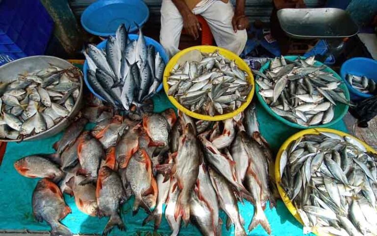 ಆಹಾರ ವೈವಿಧ್ಯತೆ; ಕರಾವಳಿಯ ಮೀನೂಟ ರುಚಿಗೂ ಸೈ, ಆರೋಗ್ಯದ ದೃಷ್ಟಿಯಲ್ಲೂ ಮೇಲುಗೈ