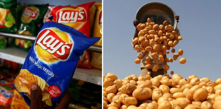 ಪೆಪ್ಸಿ ಕಂಪೆನಿಯ ‘ಲೇಸ್‌ ಆಲೂಗಡ್ಡೆ’ಗಳ ಪೇಟೆಂಟ್ ರದ್ದು! | Naanu Gauri