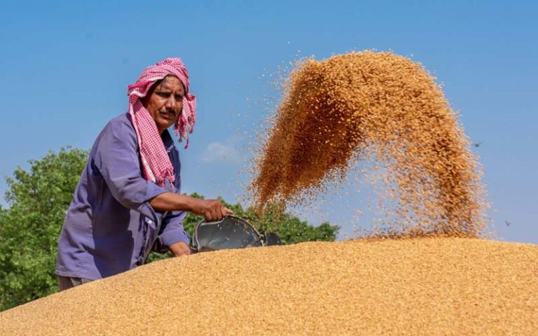 ಗ್ರಾಮೀಣ ಭಾರತಕ್ಕೆ ಬೇಕಿದೆ ಹೊಸ ’ಎಂಎಸ್‌ಪಿ’ – ’ಗರಿಷ್ಠ ಬೆಂಬಲ ನೀತಿ’