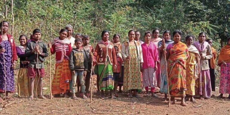 ಜಾರ್ಖಂಡ್‌: ಅರಣ್ಯ ಉಳಿಸಲು ’ಜಂಗಲ್ ಬಚಾವೋ’ ತಂಡ ರಚಿಸಿ ಬಿದಿರು ಕೋಲು ಹಿಡಿದ ದಿಟ್ಟ ಮಹಿಳೆಯರು