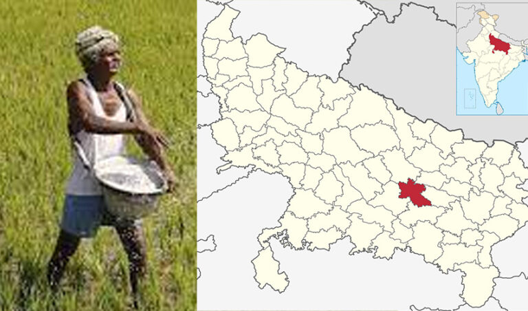 ಯುಪಿ ಚುನಾವಣೆ 5ನೇ ಹಂತದ ಮತದಾನ: ಸಂಕಷ್ಟದಲ್ಲಿರುವ ಅಮೇಥಿ ಕ್ಷೇತ್ರದ ರೈತರು