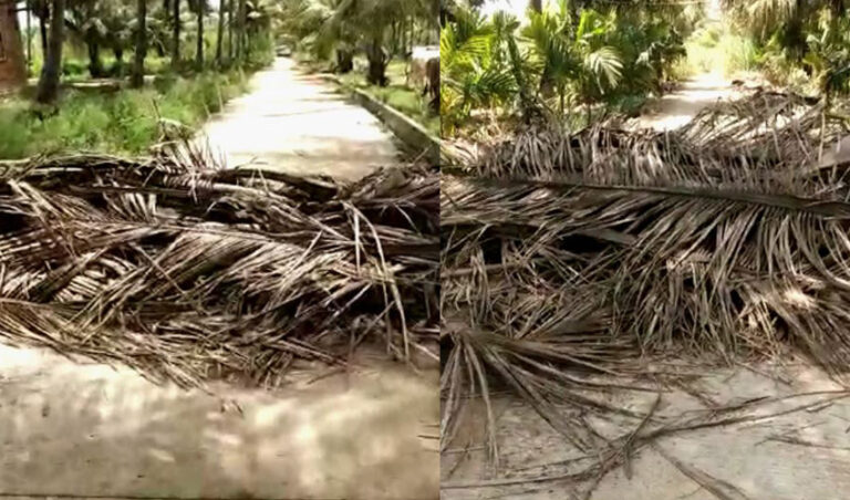 ಕೆ.ಆರ್ ಪೇಟೆ: ದಲಿತರು ರಸ್ತೆ ಬಳಸದಂತೆ ಸವರ್ಣಿಯ ಕುಟುಂಬದಿಂದ ಅಡ್ಡಿ – ಕಣ್ಮುಚ್ಚಿ ಕುಳಿತ ತಾಲ್ಲೂಕು ಆಡಳಿತ