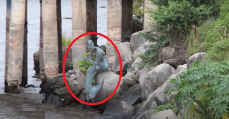 ಫ್ಯಾಕ್ಟ್‌ಚೆಕ್‌: ಶ್ರೀರಂಗಪಟ್ಟಣದ ಸೇತುವೆಯ ಬಳಿ ಮತ್ಸ್ಯಕನ್ಯೆ ಬಂದಿದ್ದು ನಿಜವೇ? | Naanu Gauri