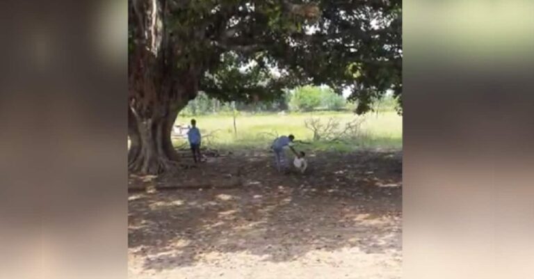 ಮಧ್ಯಪ್ರದೇಶ: ಇತರ ವಿದ್ಯಾರ್ಥಿಗಳ ಮುಂದೆಯೆ ಬಾಲಕನಿಗೆ ಮನಸೋ ಇಚ್ಛೆ ಥಳಿಸಿದ ಶಿಕ್ಷಕ | Naanu Gauri