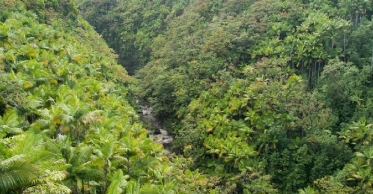 ಶಿವಮೊಗ್ಗ: ಅರಣ್ಯ ಭೂಮಿಯ ಅಕ್ರಮ ಡಿ-ನೋಟಿಫಿಕೇಶನ್; ಇಬ್ಬರು ಮಾಜಿ ಐಎಎಸ್ ಅಧಿಕಾರಿಗಳ ವಿರುದ್ಧ ಪರಿಸರ ಸಚಿವಾಲಯಕ್ಕೆ ದೂರು