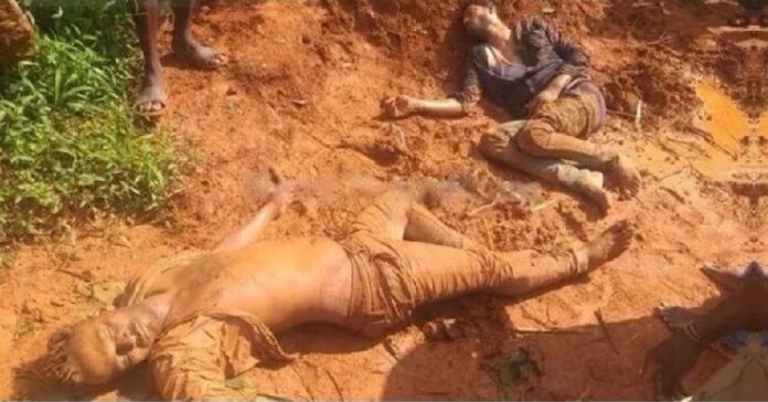 ದಕ್ಷಿಣ ಕನ್ನಡ: ಮುಸ್ಲಿಂ ವ್ಯಾಪಾರಿಗಳ ಮೇಲೆ ಗುಂಪು ಹಲ್ಲೆ; 2 ಪ್ರಕರಣ ದಾಖಲು | Naanu Gauri