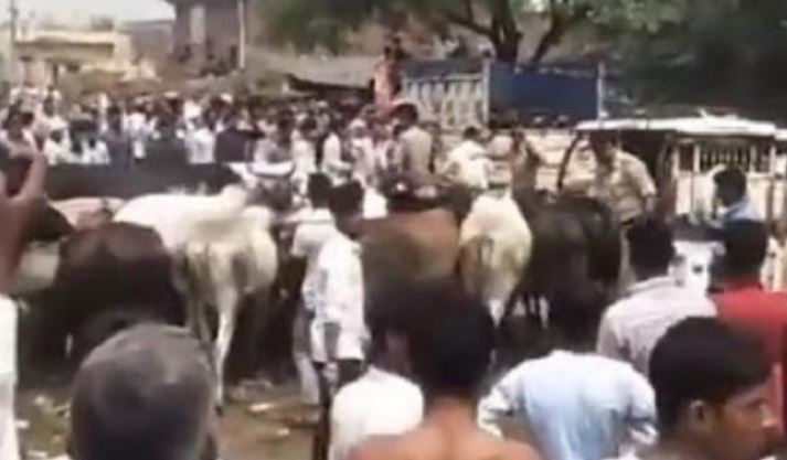 ಉತ್ತರಪ್ರದೇಶ: ಸಚಿವರ ಕಾರಿಗೆ ಗೋವುಗಳಿಂದ ಮುತ್ತಿಗೆ ಹಾಕಿಸಿದ ಗ್ರಾಮಸ್ಥರು