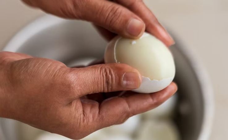 ಶಿವಮೊಗ್ಗ: ಮೊಟ್ಟೆ ತಿನ್ನುವಂತೆ ಶಿಕ್ಷಕರು ಬಲವಂತ ಮಾಡಿಲ್ಲ- ಬಿಇಓ ಸ್ಪಷ್ಟನೆ