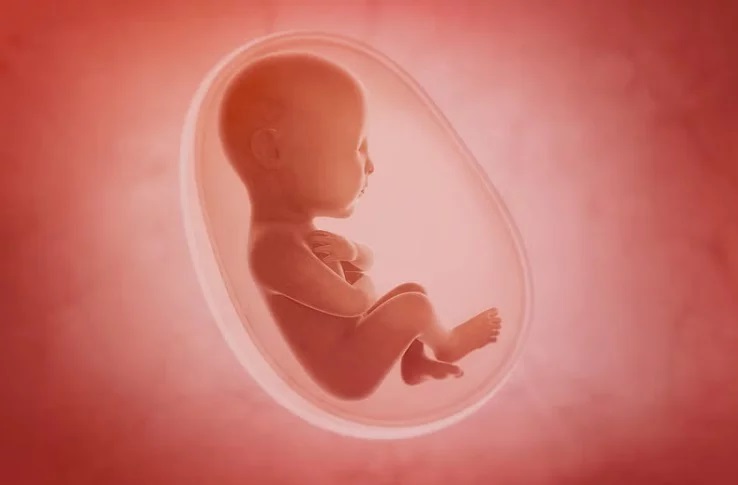 ಹೆಣ್ಣು ಭ್ರೂಣ ಹತ್ಯೆ ಜಾಲ ಬೇಧಿಸಿದ ಪೊಲೀಸರು: 9 ಆರೋಪಿಗಳ ಬಂಧನ