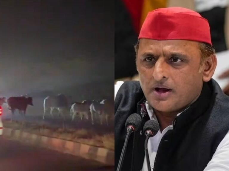 ಹೆದ್ದಾರಿಯಲ್ಲಿ ಹಸುಗಳ ಹಿಂಡು: ‘ಎಕ್ಸ್‌ಪ್ರೆಸ್‌ ವೇ’ ಅಲ್ಲ ‘ಆಕ್ಸ್‌ಪ್ರೆಸ್ ವೇ’ ಎಂದು ಅಖಿಲೇಶ್ ಲೇವಡಿ