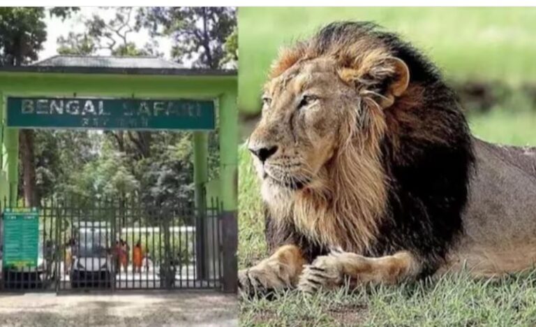 ‘ಅಕ್ಬರ್‌’, ‘ಸೀತಾ’ ಹೆಸರಿನ ಸಿಂಹಗಳನ್ನು ಒಂದೇ ಸ್ಥಳದಲ್ಲಿ ಬಿಟ್ಟಿದ್ದಕ್ಕೆ  ಹೈಕೋರ್ಟ್‌ ಮೆಟ್ಟಿಲೇರಿದ ವಿಹೆಚ್‌ಪಿ: ವಿಲಕ್ಷಣ ಘಟನೆ