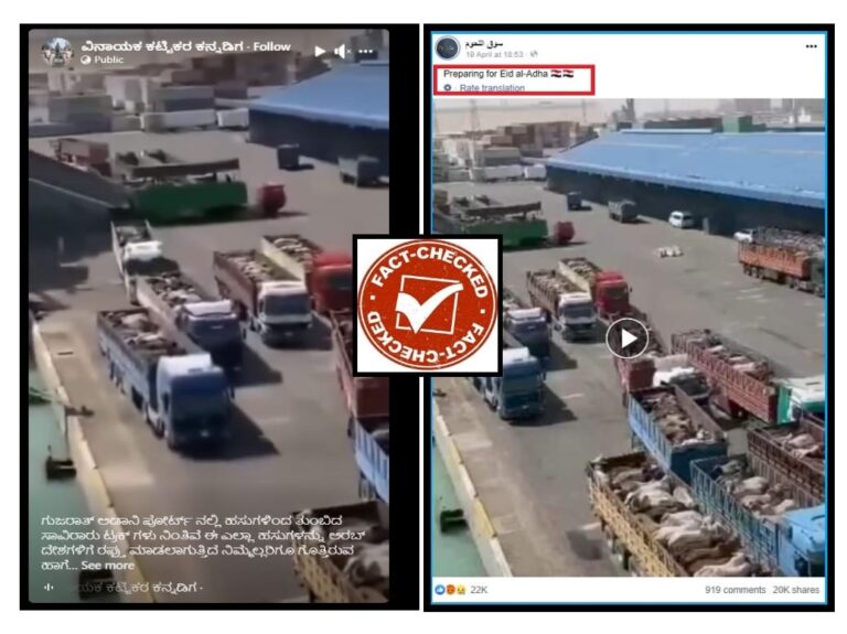 FACT CHECK : ಗುಜರಾತ್‌ನ ಅದಾನಿ ಬಂದರಿನ ಮೂಲಕ ಹಸುಗಳನ್ನು ಅರಬ್‌ ದೇಶಕ್ಕೆ ಕಳಿಸಲಾಗುತ್ತಿದೆ ಎನ್ನುವುದು ನಿಜವೇ?