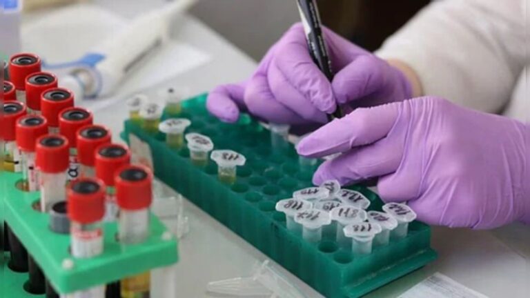 ಗುಜರಾತ್: ಚಂಡಿಪುರ ವೈರಸ್‌ನಿಂದ 16 ಸಾವು, 50 ಹೊಸ ಪ್ರಕರಣಗಳು ಪತ್ತೆ