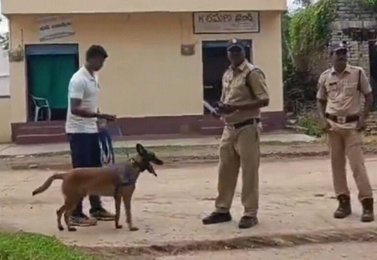 ಮೂರನೇ ತರಗತಿ ಬಾಲಕಿ ಮೇಲೆ ಅತ್ಯಾಚಾರವೆಸಗಿ ಕೊಲೆಗೈದ ಬಾಲಕರು