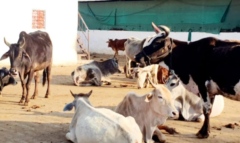 ಪರಿಶಿಷ್ಟರ ಕಲ್ಯಾಣ ನಿಧಿಯನ್ನು ಗೋವು, ಧಾರ್ಮಿಕ ಕೇಂದ್ರಗಳಿಗೆ ಬಳಸಿಕೊಂಡ ಮಧ್ಯ ಪ್ರದೇಶ