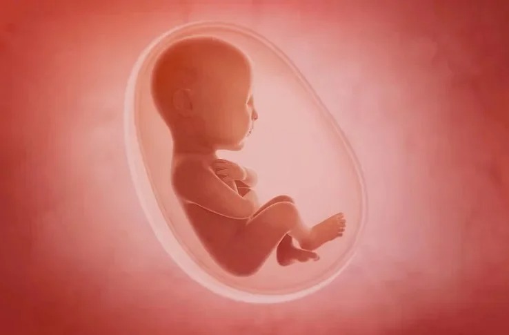 ಮಂಡ್ಯ | ಹೆಣ್ಣು ಭ್ರೂಣ ಹತ್ಯೆ ಪ್ರಕರಣ : ಮತ್ತೆ ಮೂವರ ಬಂಧನ