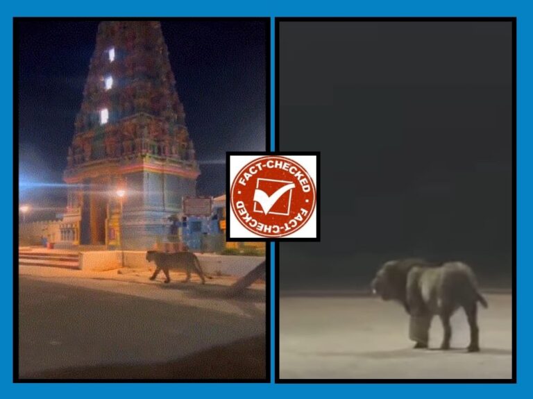 FACT CHECK : ರಾಜ್ಯದ ಹಲವೆಡೆ ರಾತ್ರಿ ಹೊತ್ತು ಸಿಂಹಗಳ ಓಡಾಟ…ವೈರಲ್ ವಿಡಿಯೋಗಳ ಅಸಲಿಯತ್ತೇನು?