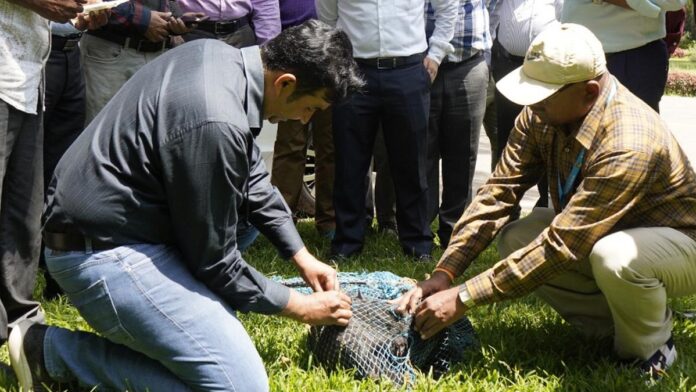 ಬೀದಿ ನಾಯಿಗಳಿಗೆ ಮೈಕ್ರೋಚಿಪ್, ಅಳವಡಿಸು,ಬಿಬಿಎಂಪಿ, Stray dogs are microchipped, implanted, BBMP,