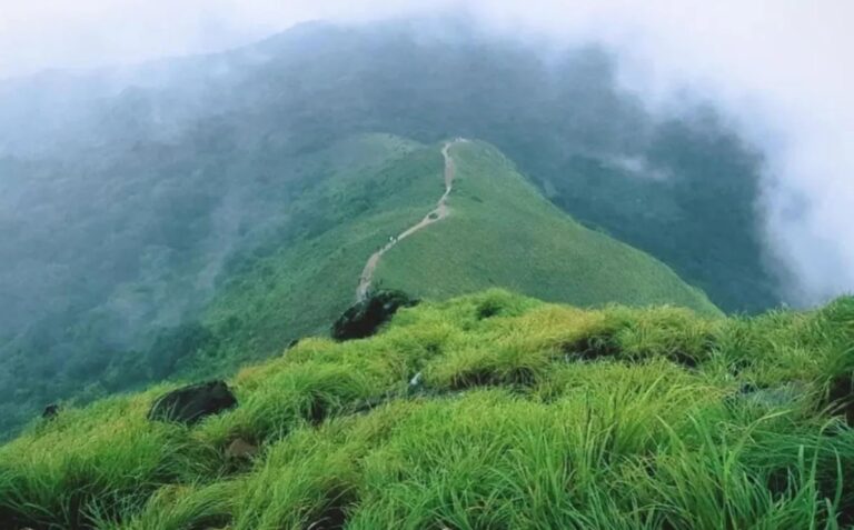 ಕಸ್ತೂರಿ ರಂಗನ್ ವರದಿ ತಿರಸ್ಕಾರ : ಸಚಿವ ಸಂಪುಟ ಸಭೆಯಲ್ಲಿ ನಿರ್ಧಾರ