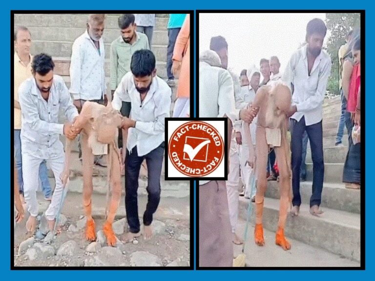 FACT CHECK : ಬೆಂಗಳೂರು ಬಳಿ ಗುಹೆಯಲ್ಲಿ 188 ವರ್ಷದ ವ್ಯಕ್ತಿ ಪತ್ತೆ? ವೈರಲ್ ವಿಡಿಯೋದ ಸತ್ಯಾಸತ್ಯತೆ ಏನು?