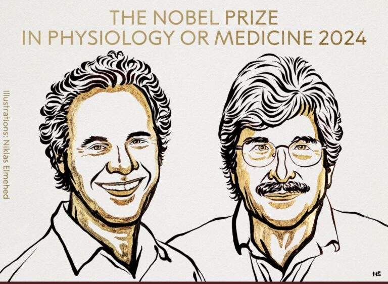 ಮೈಕ್ರೋ ಆರ್‌ಎನ್‌ಎ ಆವಿಷ್ಕಾರ : ಅಮೆರಿಕದ ಇಬ್ಬರು ವಿಜ್ಞಾನಿಗಳಿಗೆ ವೈದ್ಯಕೀಯ ನೊಬೆಲ್