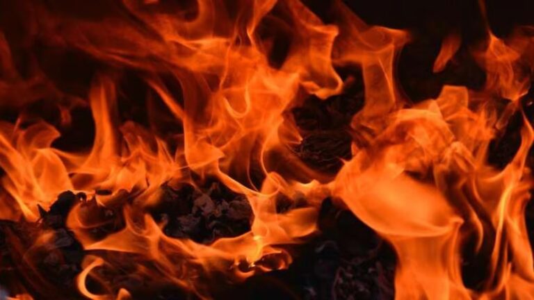 ಯುಪಿ | ಅಕ್ರಮ ಪಟಾಕಿ ತಯಾರಿಕಾ ಘಟಕದಲ್ಲಿ ಸ್ಫೋಟ: ಮೂವರು ಪೊಲೀಸರು ಅಮಾನತು