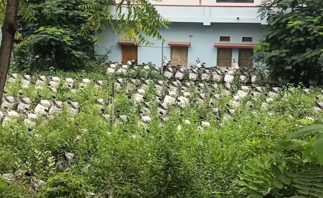 ಕೊಳೆಯುತ್ತಿದೆ, ಬಡ ವಿದ್ಯಾರ್ಥಿನಿ, 1,500 ಸ್ಕೂಟರ್‌ಗಳು, ಬಿಜೆಪಿ ಸರ್ಕಾರ,ನಿರ್ಲಕ್ಷ್ಯ, Rotting, poor student, 1,500 scooters, BJP government, neglect,ಬಿಜೆಪಿ ಸರ್ಕಾರದಿಂದ ನಿರ್ಲಕ್ಷ್ಯ,