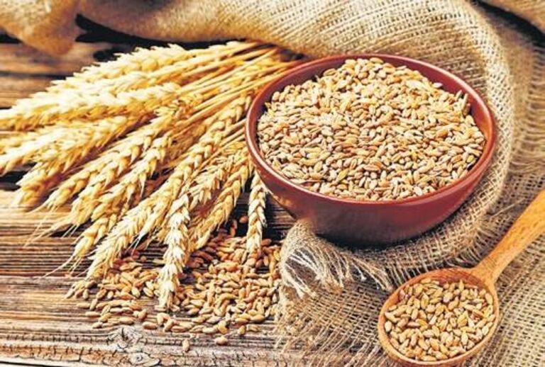 ದೇಶದಾದ್ಯಂತ, ಉತ್ತಮ ಮುಂಗಾರು ಮಳೆ, ಆಹಾರ ಧಾನ್ಯ,ಬೆಲೆ ಏರಿಕೆ, Across the country, good monsoon rains, food grains, price rise,