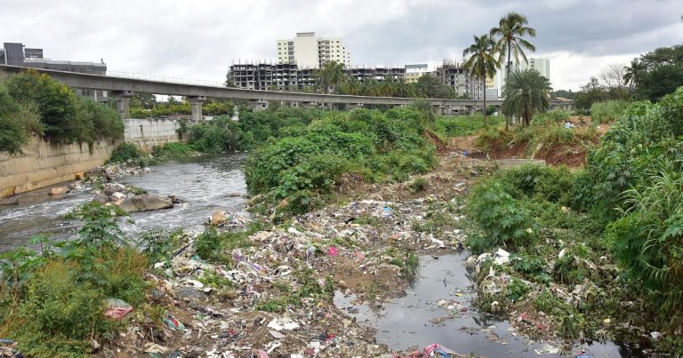 ಅರ್ಕಾವತಿ ನದಿ ನೀರಿನಲ್ಲಿ ವಿಷಕಾರಿ ಅಂಶ ಪತ್ತೆ; ಕೇಂದ್ರದ ಸಂಸ್ಥೆಗಳಿಗೆ ಎನ್‌ಜಿಟಿಯಿಂದ ನೋಟಿಸ್