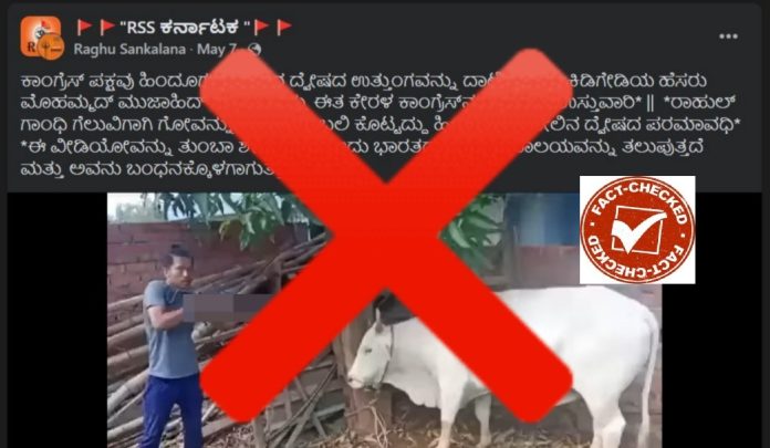 ಫ್ಯಾಕ್ಟ್‌ಚೆಕ್, ಹಸುವಿಗೆ ಗುಂಡು ಹಾರಿಸು, ಮುಸ್ಲಿಂ, ಪ್ರಿಯಾಂಕ ಗಾಂಧಿ, ಗೆಲುವು ಸಂಭ್ರಮಿಸು, Fact check, shoot a cow, Muslim, Priyanka Gandhi, celebrate victory,