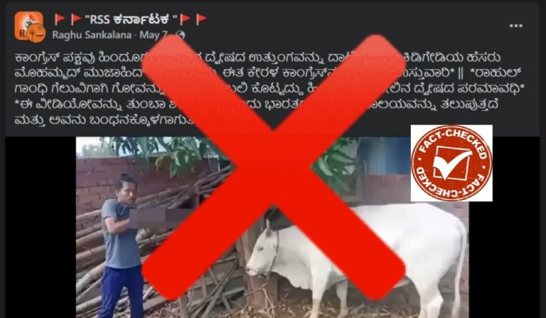 ಫ್ಯಾಕ್ಟ್‌ಚೆಕ್, ಹಸುವಿಗೆ ಗುಂಡು ಹಾರಿಸು, ಮುಸ್ಲಿಂ, ಪ್ರಿಯಾಂಕ ಗಾಂಧಿ, ಗೆಲುವು ಸಂಭ್ರಮಿಸು, Fact check, shoot a cow, Muslim, Priyanka Gandhi, celebrate victory,