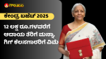 ಕೇಂದ್ರ ಬಜೆಟ್ 2025,12 ಲಕ್ಷ ರೂ.,ಆದಾಯ ತೆರಿಗೆ , ಗಿಗ್ ಕೆಲಸ, ವಿಮೆ, Union Budget 2025,Rs. 12 lakh, Income Tax, Gig Work, Insurance,
