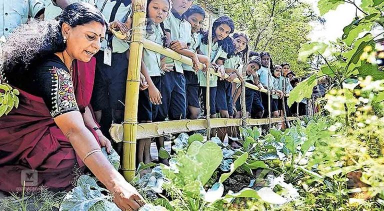 ಶಾಲಾ ಕೈತೋಟದಿಂದ ತರಕಾರಿ ಕಳ್ಳತನ; ಸಿಸಿಟಿವಿ ಕ್ಯಾಮೆರಾ ಅಳವಡಿಸುವಂತೆ ಸರ್ಕಾರಕ್ಕೆ ಪತ್ರ ಬರೆದ ವಿದ್ಯಾರ್ಥಿಗಳು