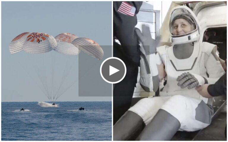 ಸುರಕ್ಷಿತವಾಗಿ ಭೂಮಿಗೆ ಬಂದಿಳಿದ ಸುನಿತಾ ವಿಲಿಯಮ್ಸ್, ಬುಚ್‌ ವಿಲ್ಮೋರ್