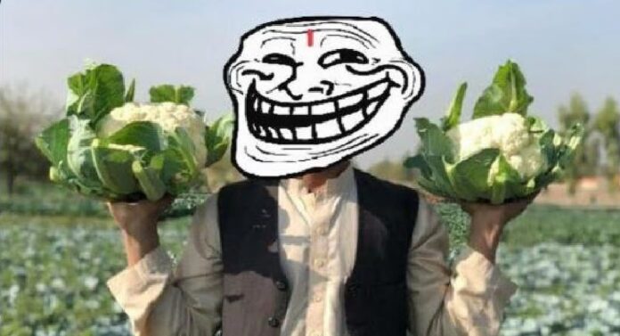 ನಾಗ್ಪುರ ಗಲಭೆ, ಹೂಕೋಸು, ಮುಸ್ಲಿಂ, ಸಾಮೂಹಿಕ,ಹತ್ಯಾಕಾಂಡ, ಕರೆ, ಬಿಜೆಪಿ, Nagpur riots, cauliflower, Muslim, mass, massacre, call, BJP,