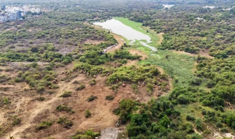 ಹೈದರಾಬಾದ್ ವಿವಿ ‘ಕಾಂಚ ಗಚಿಬೌಲಿ’ ಅರಣ್ಯ ನಾಶ ವಿವಾದ: ಮರಗಳ ತೆರವಿಗೆ ಸುಪ್ರೀಂ ಕೋರ್ಟ್ ತಡೆ