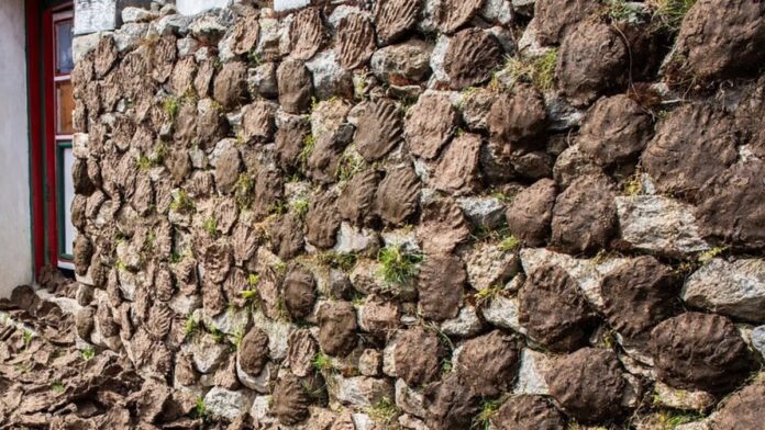 ಬೇಸಿಗೆ, ತಂಪು, ಕಾಲೇಜು ಗೋಡೆ, ಸೆಗಣಿ, ಪ್ರಾಂಶುಪಾಲೆ , ಬೇಸಿಗೆಯಲ್ಲಿ ತಂಪಾಗಿರಲು ಕಾಲೇಜು, Summer, cool, college wall, dung, principal,