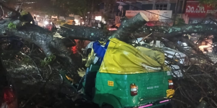 ಭಾರೀ ಮಳೆಗೆ ಬೆಂಗಳೂರು ಹೈರಾಣು; ಮರ ಬಿದ್ದು ಆಟೋ ಚಾಲಕ ದುರ್ಮರಣ