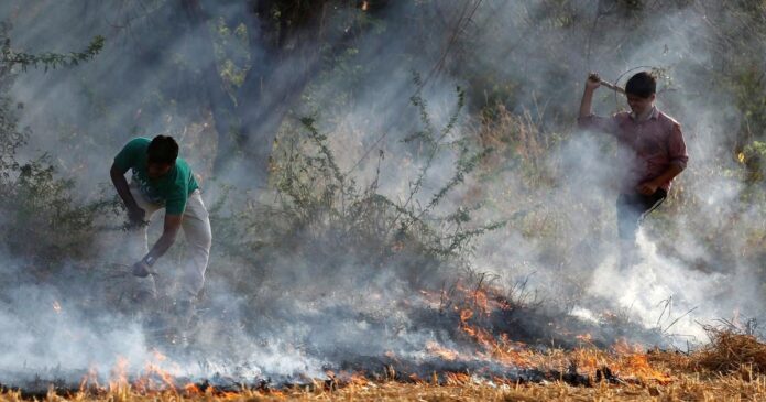 ಕೃಷಿ ತ್ಯಾಜ್ಯ, ಸುಡು, ರೈತ, ಆರ್ಥಿಕ ಸಹಾಯ ಸ್ಥಗಿತ, ಮಧ್ಯಪ್ರದೇಶ, ಬಿಜೆಪಿ ಸರ್ಕಾರ, ನಿರ್ಧಾರ, stubble burning, farmer, financial assistance suspension, Madhya Pradesh, BJP government, decision,