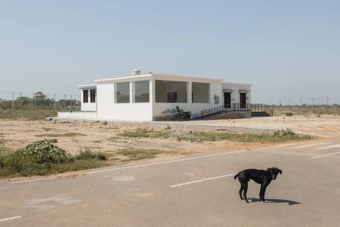 ಭೂತಬಂಗಲೆಯಾದ, ದೇಶ, ವಿಮಾನ ನಿಲ್ದಾಣ, ರನ್‌ವೇ, ಬೀದಿನಾಯಿ, ವರದಿ, Haunted bungalow, country, airport, runway, stray dog, report,