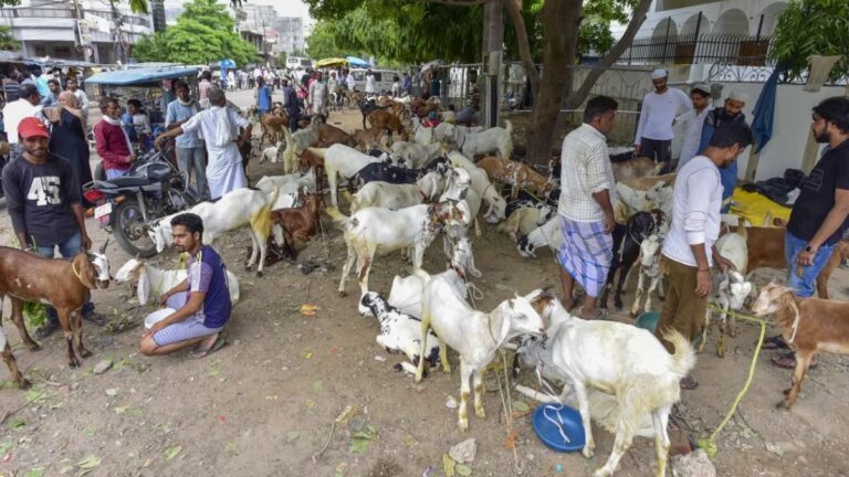 ದೆಹಲಿಯಲ್ಲಿ ಸಾರ್ವಜನಿಕ ಪ್ರಾಣಿ ಬಲಿ ನಿಷೇಧ; ವಧೆ ವೀಡಿಯೊ ಹಂಚಿಕೊಳ್ಳದಂತೆ ನಿರ್ದೇಶನ