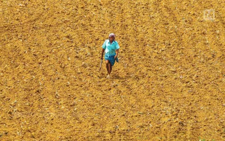 ಮಹಾರಾಷ್ಟ್ರ: 3 ತಿಂಗಳಲ್ಲಿ 767 ರೈತರ ಆತ್ಮಹತ್ಯೆ; ವಿದರ್ಭ-ಮರಾಠವಾಡದಲ್ಲಿ ಭಾರಿ ಹೆಚ್ಚಳ