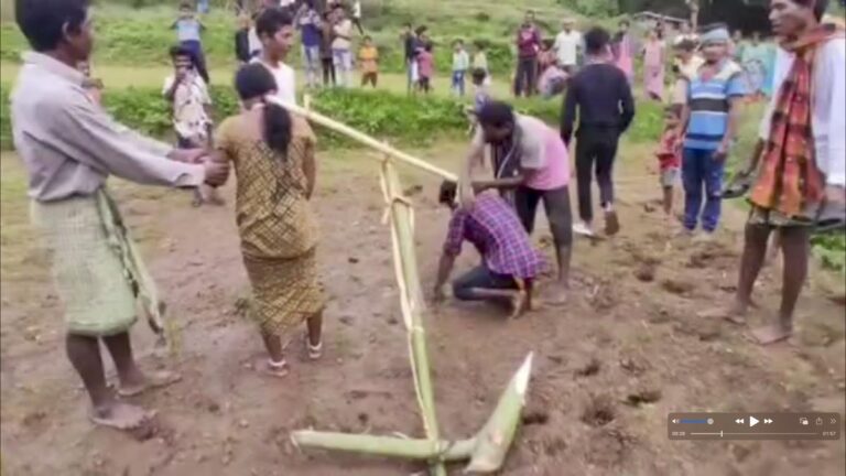 ಒಡಿಶಾ: ಬುಡಕಟ್ಟು ನಿಯಮ ಮೀರಿ ಮದುವೆ ಆರೋಪ-ಜೋಡಿಗೆ ನೇಗಿಲು ಕಟ್ಟಿ ಹೊಲ ಉಳುಮೆ ಮಾಡಿದ ಗ್ರಾಮಸ್ಥರು-video