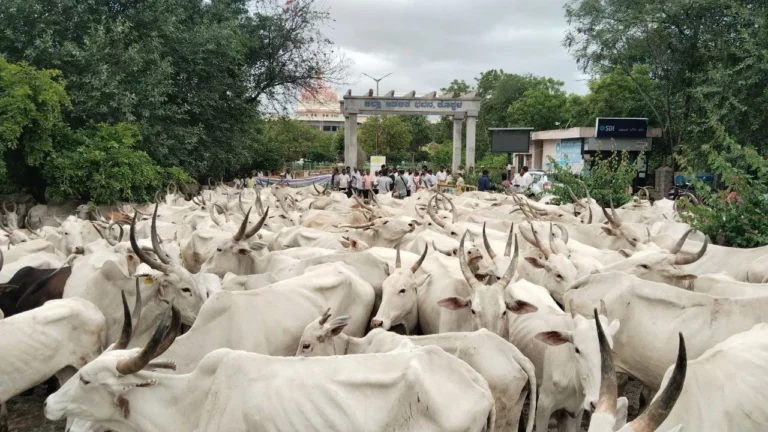 ಕೊಪ್ಪಳ: ಬಸ್ಸಾಪುರ ಹೋರಾಟಗಾರರಿಗೆ ಜಿಲ್ಲಾ ನ್ಯಾಯಾಲಯದಿಂದ ಜಾಮೀನು ಮಂಜೂರು