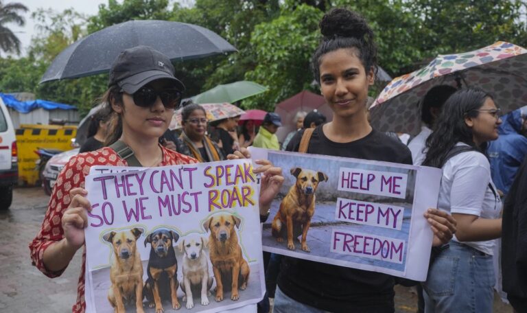 ಬೀದಿ ನಾಯಿಗಳ ಸ್ಥಳಾಂತರ ಆದೇಶ ಮಾರ್ಪಡಿಸಿದ ಸುಪ್ರೀಂ ಕೋರ್ಟ್‌; ಸಂತಾನಹರಣ-ಲಸಿಕೆ ನೀಡಲು ಸೂಚನೆ