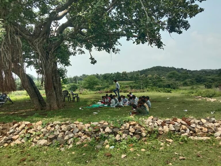 ರಾಜಸ್ಥಾನ: ಬುಡಕಟ್ಟು ಶಾಲೆಗಳು ಪಾಳುಬಿದ್ದ ಸ್ಥಿತಿ, ಮರದಡಿಯಲ್ಲಿ ಪಾಠ ಕಲಿಯುತ್ತಿರುವ ವಿದ್ಯಾರ್ಥಿಗಳು