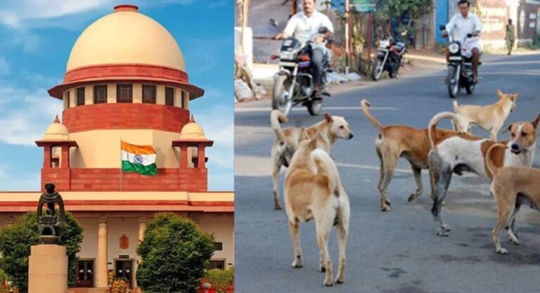 ಹೆದ್ದಾರಿ, ಶಾಲೆ, ಆಸ್ಪತ್ರೆ, ರೈಲು ನಿಲ್ದಾಣಗಳಿಂದ ಬೀದಿ ನಾಯಿಗಳನ್ನು ತೆರವುಗೊಳಿಸುವಂತೆ ಸುಪ್ರೀಂ ಕೋರ್ಟ್ ಆದೇಶ