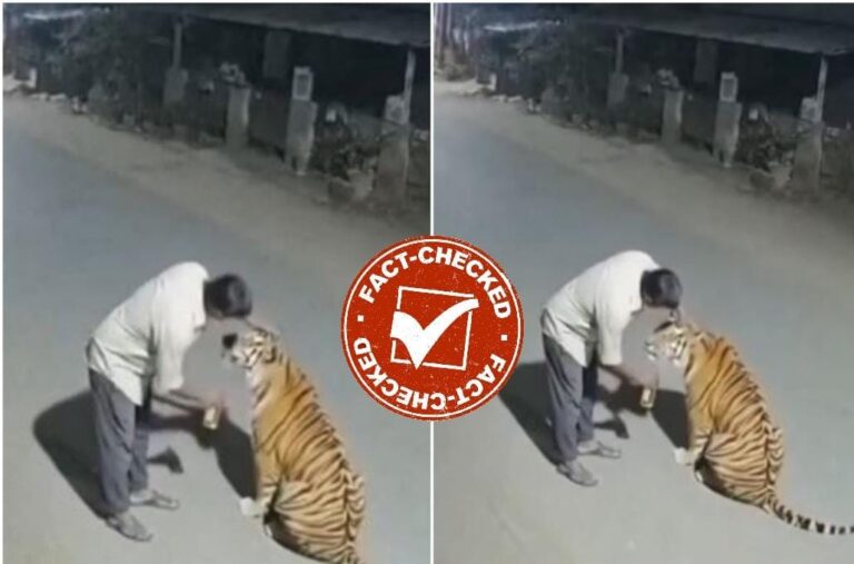 ಫ್ಯಾಕ್ಟ್‌ಚೆಕ್ : ಮದ್ಯದ ನಶೆಯಲ್ಲಿ ಹುಲಿಯ ತಲೆ ಸವರಿಸಿದ ವ್ಯಕ್ತಿ…ವೈರಲ್ ವಿಡಿಯೋದ ಸತ್ಯಾಸತ್ಯತೆ ಏನು?